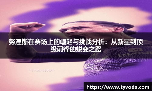 努涅斯在赛场上的崛起与挑战分析：从新星到顶级前锋的蜕变之路